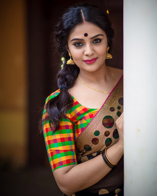 SreeMukhi Looking Beautiful In Saree 4